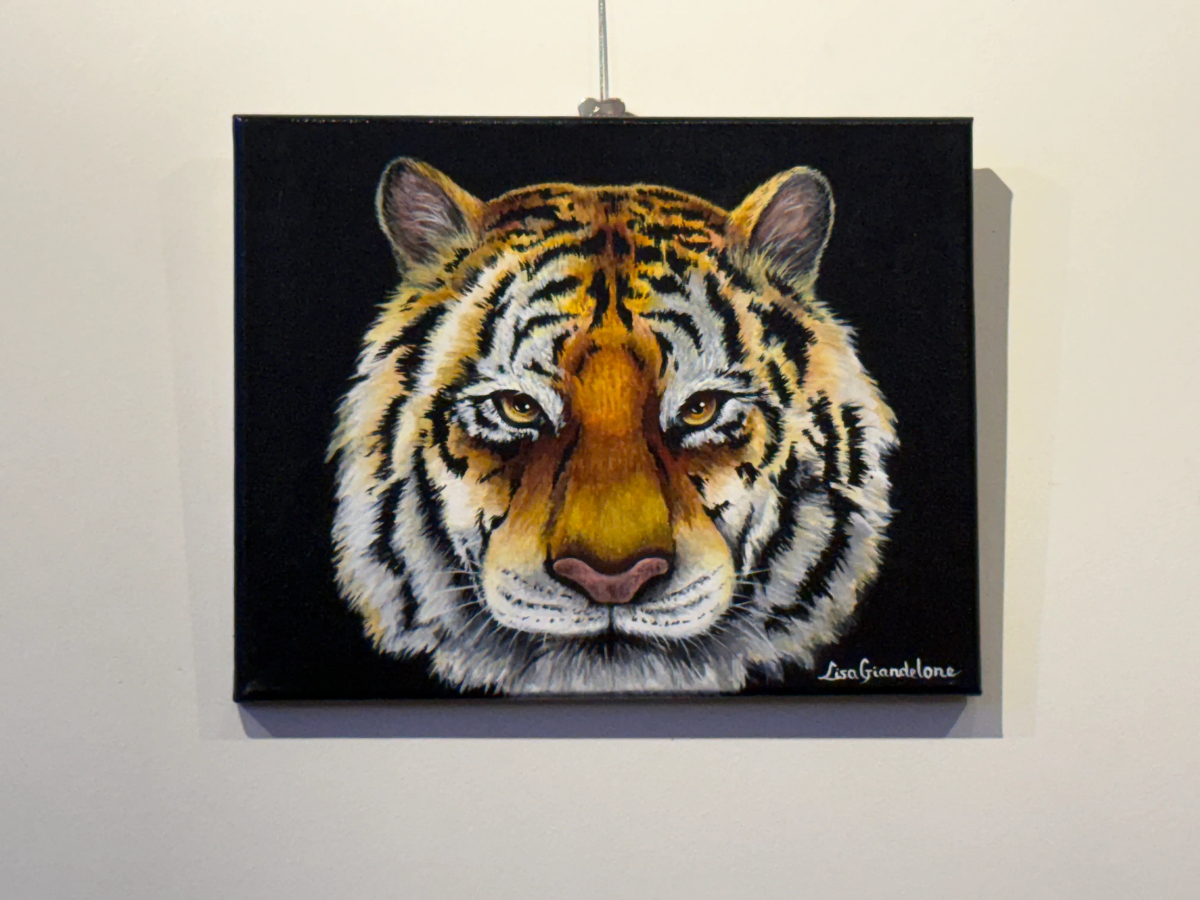 Black Tiger — Oil Painting by Lisa Giandelone