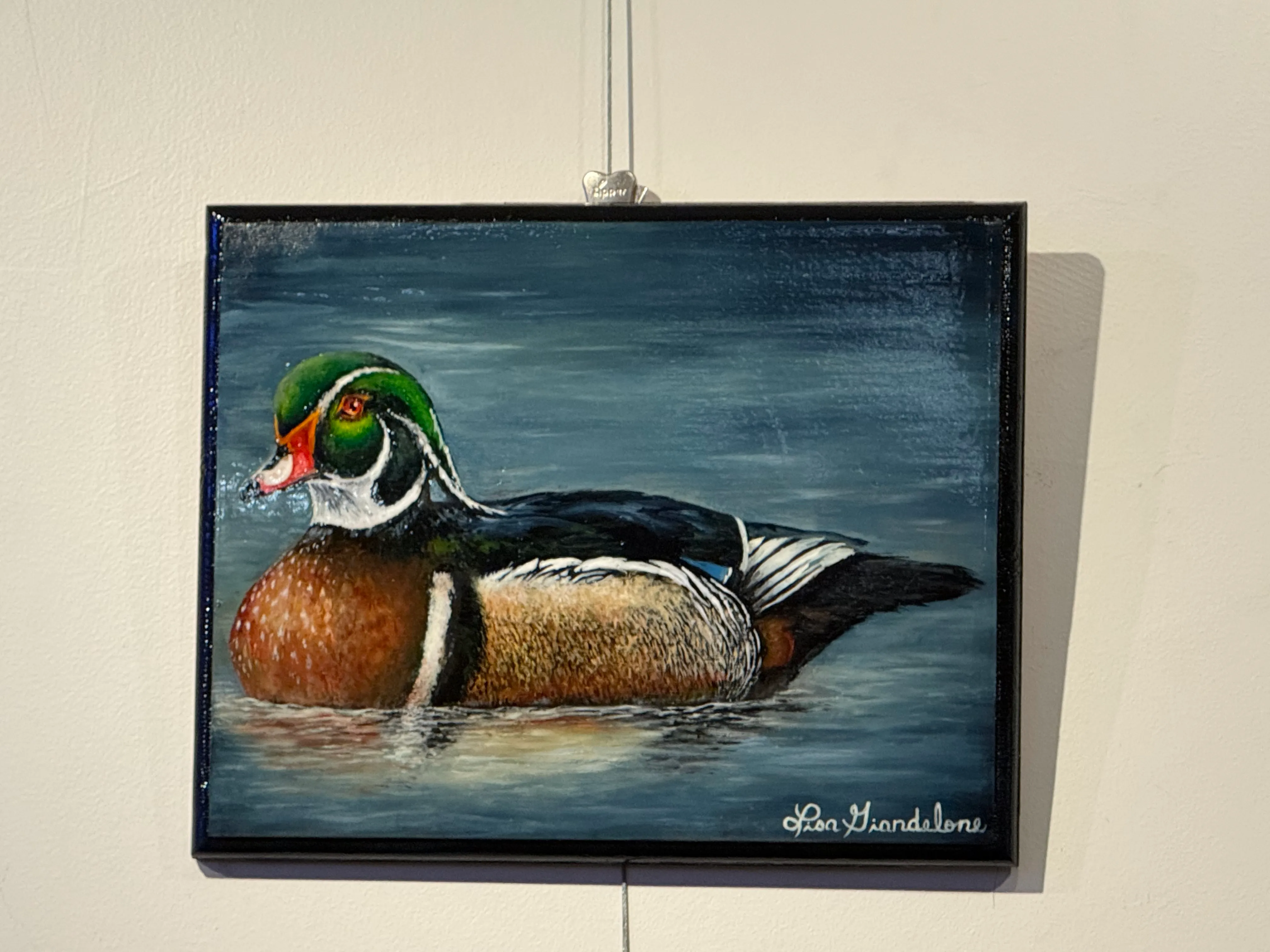 Wood Duck — Oil Painting by Lisa Giandelone